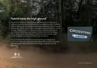 Subaru catalogue Page 17