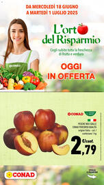 Volantino Conad Pagina 1