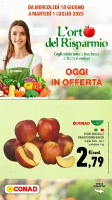 Volantino Conad (valido fino al 1-07)