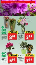 Lidl folder week 26 Pagina 27