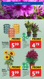 Lidl folder week 26 Pagina 57