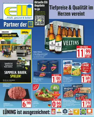 Elli Markt Prospekt (gültig bis 28-06)