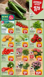 REWE tilbudsavis uge 26 Side 5