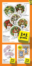 Albert Heijn folder week 26 Pagina 5