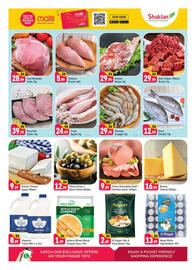 Shaklan catalogue Page 3