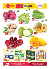 Shaklan catalogue Page 2