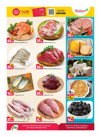 Shaklan catalogue Page 3