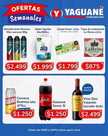 Catálogo Yaguane Supermercados semana 25 Página 3