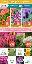 Lakeside Garden Gallery flyer week 25 Page 3