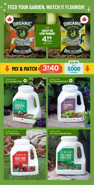 Lakeside Garden Gallery flyer week 25 Page 4