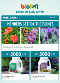 Lakeside Garden Gallery flyer week 25 Page 6