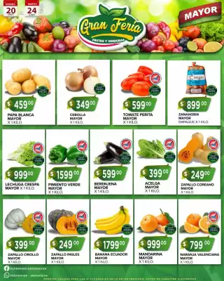 Catálogo Supermercados Mayor (válido hasta 24-06)