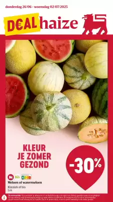Delhaize folder