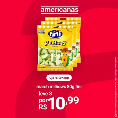 Catálogo Lojas Americanas (válido até 30-06)