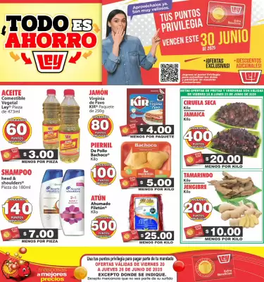 Catálogo Casa Ley