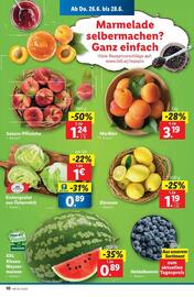 Lidl Flugblatt woche 26 Seite 13