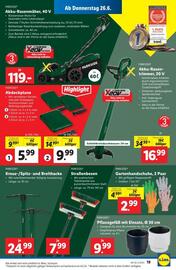 Lidl Flugblatt woche 26 Seite 24