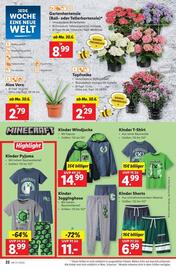 Lidl Flugblatt woche 26 Seite 29