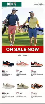 Dick's Sporting Goods Weekly Ad (valid until 24-06)