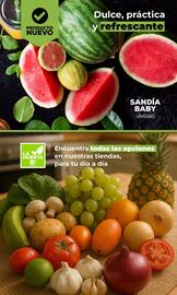Catálogo Tiendas D1 Página 12
