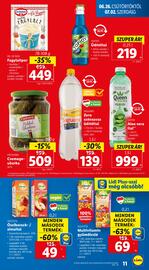 Lidl akciós újság hét 26 Oldal 11