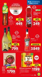 Lidl akciós újság hét 26 Oldal 13