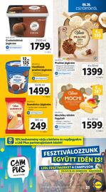 Lidl akciós újság hét 26 Oldal 21