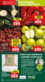 Lidl akciós újság hét 26 Oldal 56