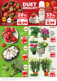 Kaufland gazetka Strona 13