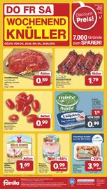 Famila Nord West Prospekt woche 26 Seite 45