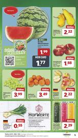 Famila Nord West Prospekt woche 26 Seite 5