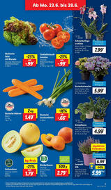Lidl Prospekt woche 26 Seite 3