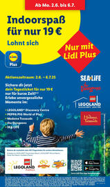 Lidl Prospekt woche 26 Seite 63