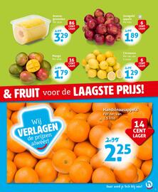 Hoogvliet folder week 26 Pagina 3