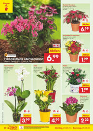 Netto Marken-Discount DE folder week 26 Pagina 28