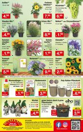 Zimmermann Prospekt woche 26 Seite 10