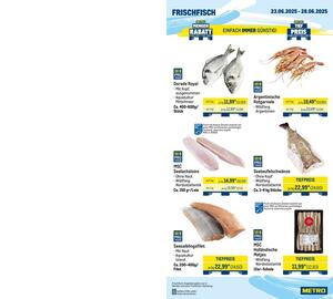 METRO Prospekt woche 26 Seite 5