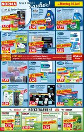Norma Prospekt woche 27 Seite 11