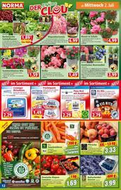 Norma Prospekt woche 27 Seite 13
