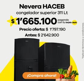 Catálogo Éxito Página 13