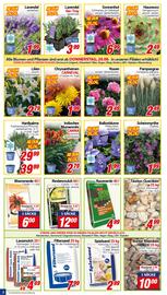 CENTERSHOP Prospekt woche 26 Seite 2