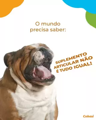 Catálogo Cobasi (válido até 28-06)