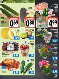 Edeka Frischemarkt Prospekt woche 26 Seite 5