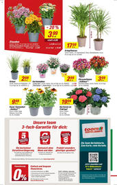 toom Baumarkt Prospekt woche 26 Seite 2
