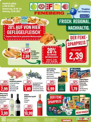 Feneberg Prospekt (gültig bis 28-06)