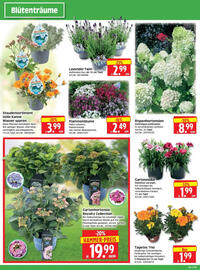 Edeka Herkules Prospekt woche 26 Seite 2