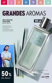 Catálogo Oriflame Página 110