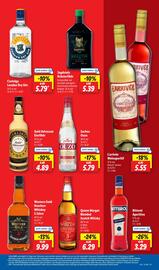 Lidl Prospekt woche 27 Seite 21