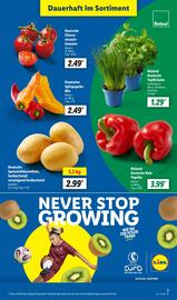 Lidl Prospekt woche 27 Seite 3