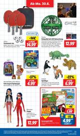 Lidl Prospekt woche 27 Seite 33